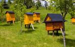 Держать пчел или водить конструкция улья для очень занятых или ленивых